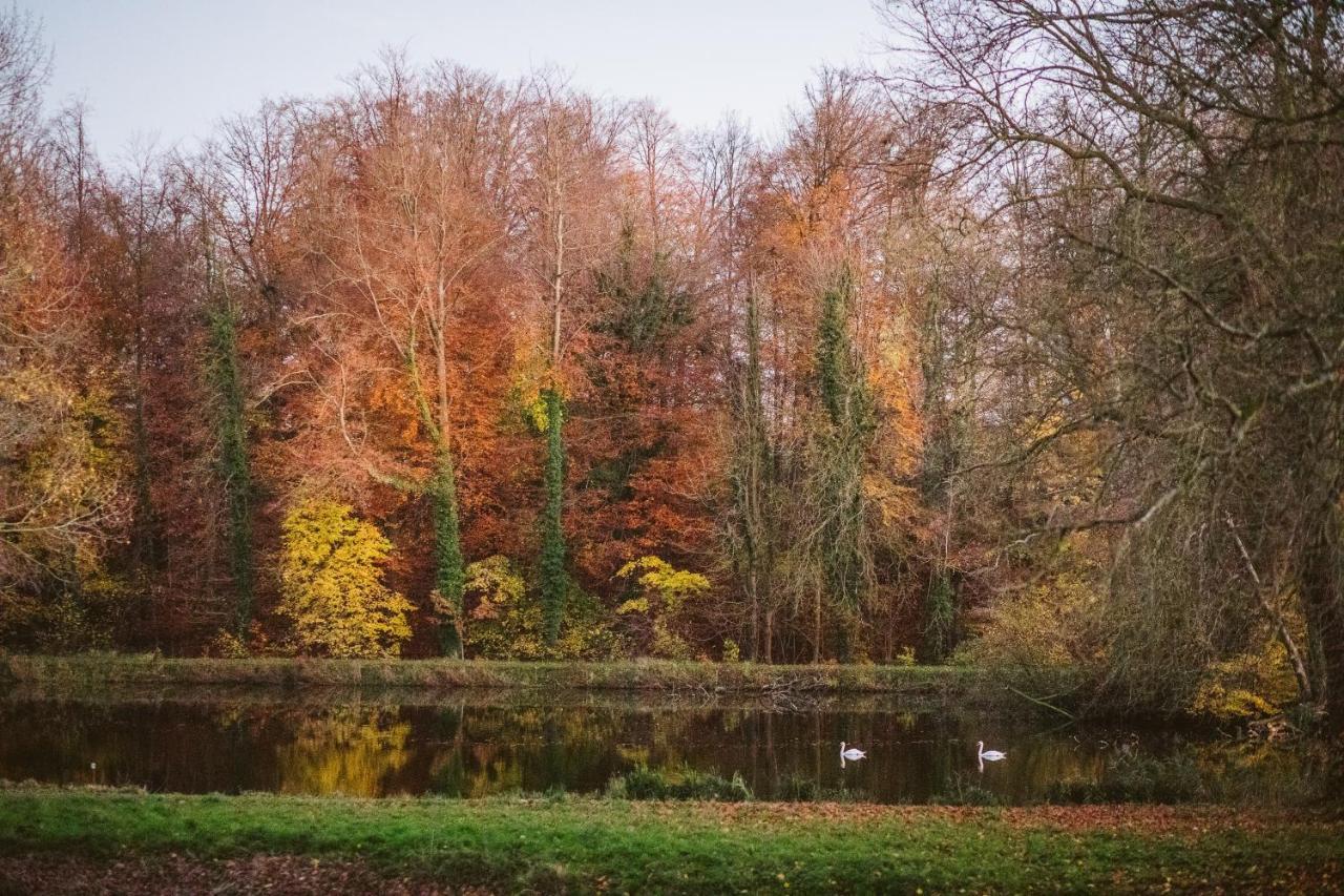 Huldenberg B&B Park7 Wavre - Leuven מראה חיצוני תמונה